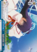 地球を背負う拳