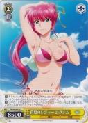 真夏のレジャー シグナム