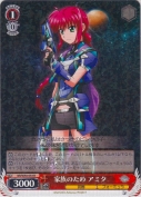 家族のため　アミタ【R】