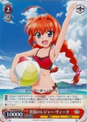 真夏のレジャー ヴィータ