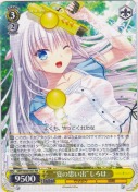 “夏の思い出”しろは【RR】