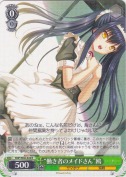 “働き者のメイドさん”鴎【R】
