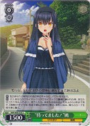 “待ってました！”鴎