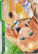 恋人っぽいこと