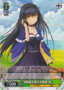“海賊船を探すお嬢様”鴎【PR】