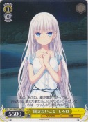 “聞きたいこと”しろは【ボクサー】【c】【TD】