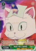 無敵の相方 猫神様