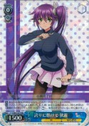 誇りに懸けて 狭霧【RR】