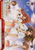 SOS団の夏休み