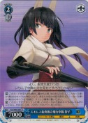 スオムス義勇独立飛行中隊 智子