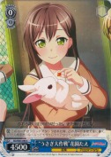 “うさぎ大作戦”花園たえ