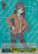 才色兼備 桜島 麻衣【SR】