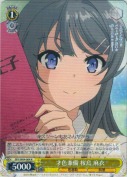才色兼備 桜島 麻衣【R】