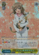 ブラコン妹 梓川 かえで【SR】