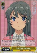 記者会見 桜島 麻衣