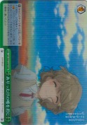 ありったけの嘘を君に【RRR】