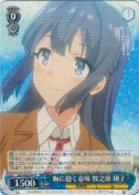 胸に抱く意味 牧之原 翔子【R】