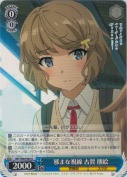 邪まな視線 古賀 朋絵