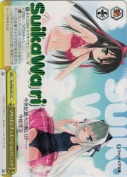 ソリッドシュチュエーションパニック