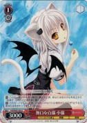 無口な白猫　小猫