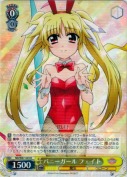 バニーガール　フェイト【R】