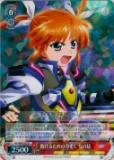 助けるための力ずく　なのは【R】