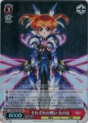 それぞれの戦い　なのは【SR】