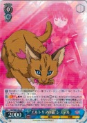 “エルトリアの猫”シュテル【R】