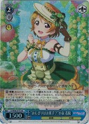 “おにぎりはお菓子？”小泉 花陽【SR】
