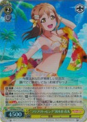 “フワフワトッピング”国木田 花丸【SR】
