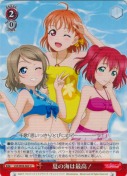 夏の海は最高！