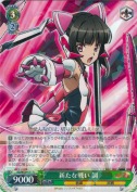 新たな戦い 調【R】