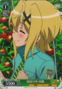 見回り中 切歌
