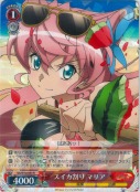 スイカ割り マリア【R】