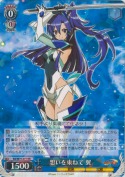 想いを束ねて 翼【RR】