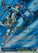新たな戦い 翼【箔押SP】