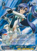 新たな戦い 翼【RR】