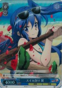 スイカ割り 翼【SR】