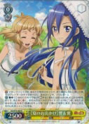 【夏のお出かけ】響＆翼【R】