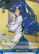 淑女のたしなみ