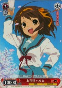 お花見 ハルヒ【R】