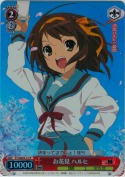 お花見 ハルヒ【R】【ホロ】