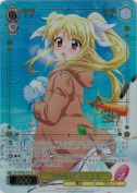 冬の休日 フェイト【LCR】
