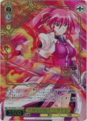 八神家の騎士 シグナム【LCR】