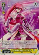 八神家の騎士 シグナム