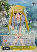 水辺のひととき フェイト