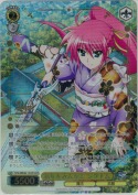 新年をみんなと シグナム【LCR】