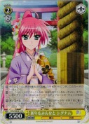 新年をみんなと シグナム