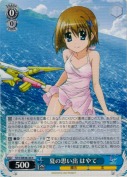 夏の思い出 はやて
