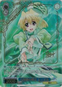 八神家の騎士 シャマル【LCR】
